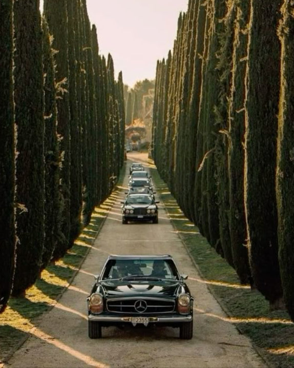 Thorne Estate Vintage Car